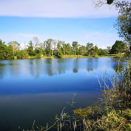 Gite A La Campagne - Etat Nature Magnieres Luaran gambar