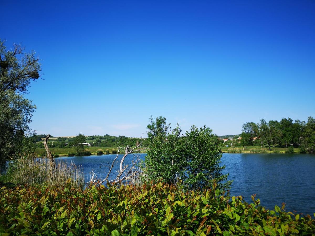 Gite A La Campagne - Etat Nature Magnieres Luaran gambar