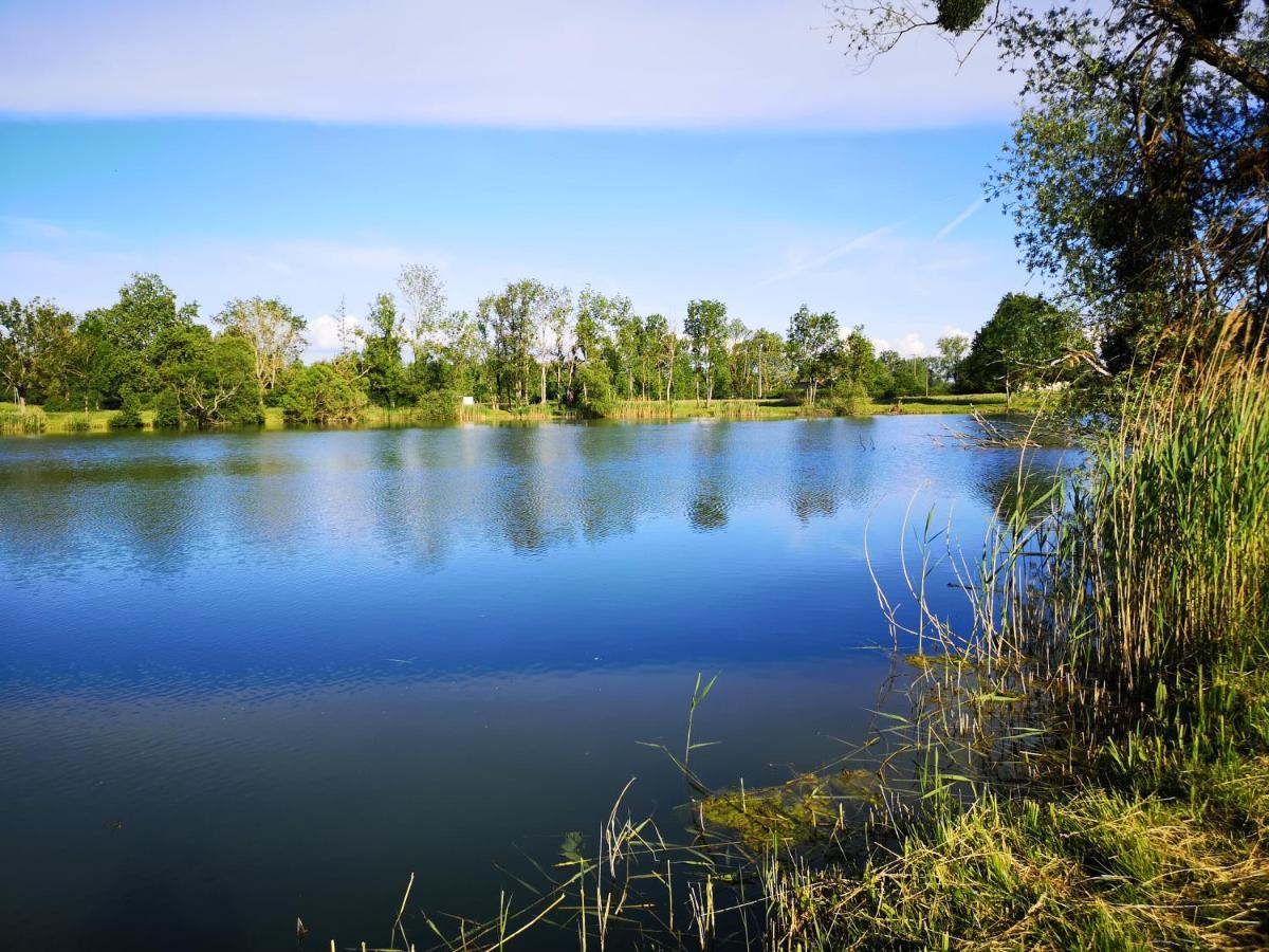 Gite A La Campagne - Etat Nature Magnieres Luaran gambar